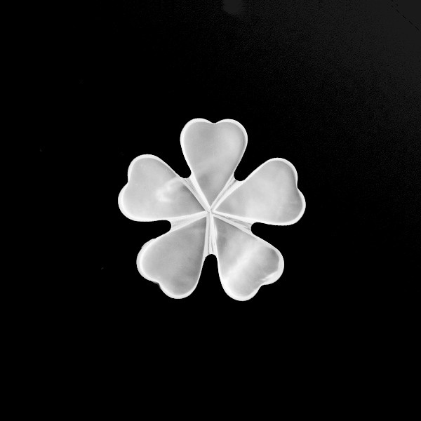 028117_Blossom_16mm