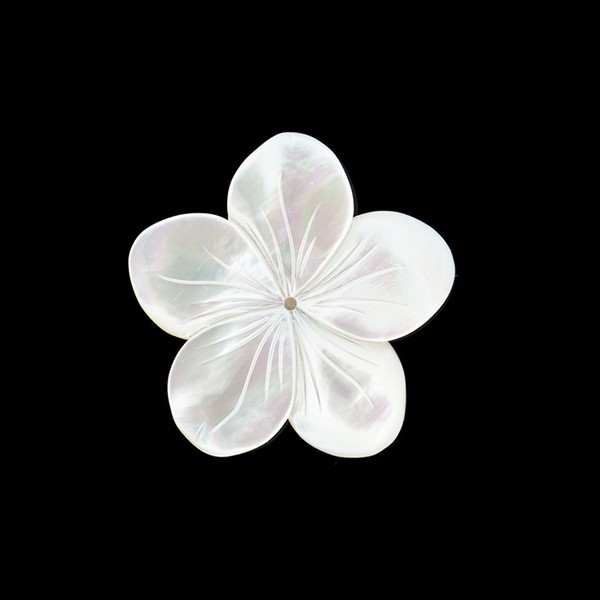 Blüte_40mm