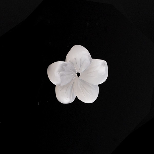 028110_Blossom_11mm