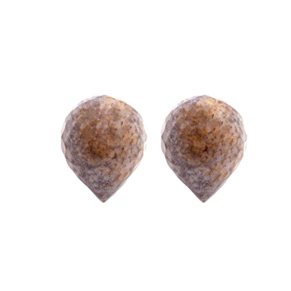 028781_Ozeanjaspis_13x11mm