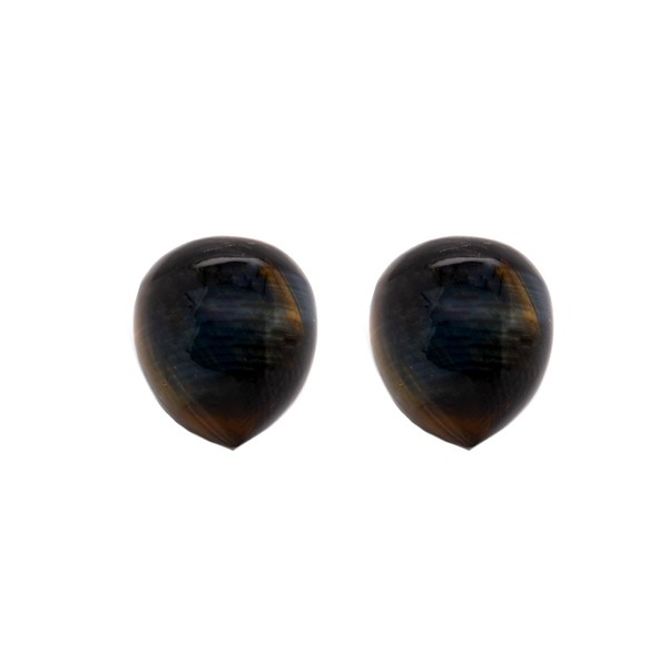 030661_Falkenauge_13x11mm