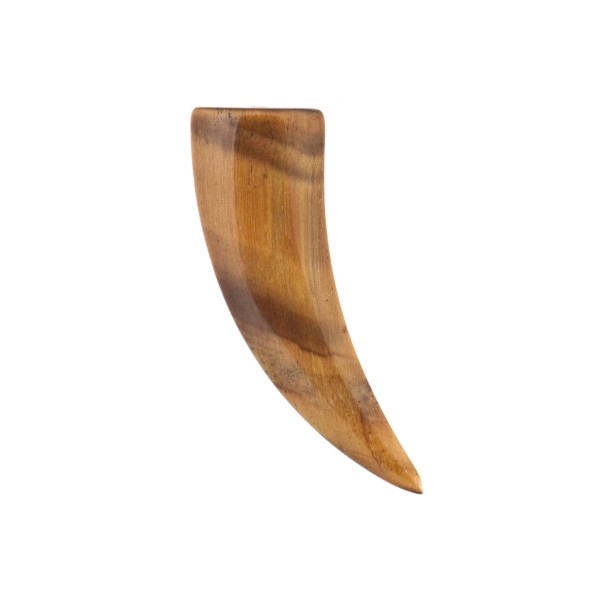 Tigerauge, braun, Tigerzahn, glatt, 30 x 12 x 5 mm