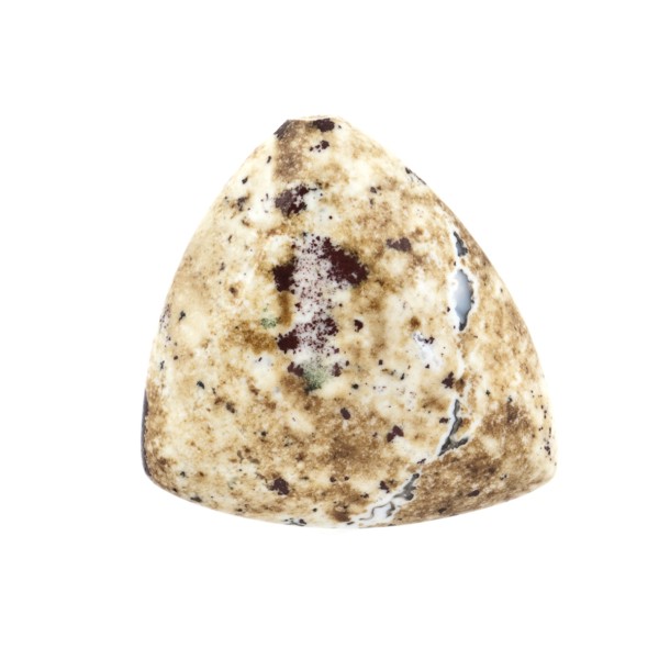 Jasper (Kalahari jasper), beige/brown, lentil cut, trillion, smooth, 19 x 19 mm