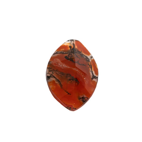 Moosachat_Blatt