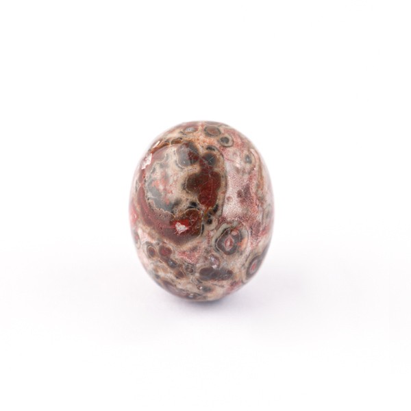 002271_Ozeanjaspis_14x11mm