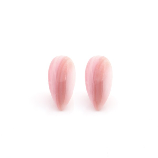 033580_Muschel_15x7.5mm